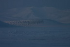 Spitzbergen im Frühling