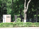 Grabsteine auf dem Neujungfrauen-Friedhof