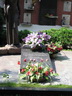 Grab von Raissa Maximowna Gorbatschowa auf dem Neujungfrauen-Friedhof