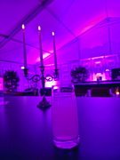 Mera Luna 2025 (Hildesheim, D)