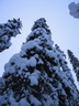 Äkäslompolo, Schneeschuh-Tour 2, Einsamer Weg durch den Wald