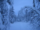 Äkäslompolo, Schneeschuh-Tour 2, Kellostapulinkuru