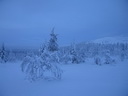 Äkäslompolo, Schneeschuh-Tour 2, Kellostapulinkuru