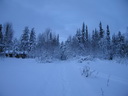Äkäslompolo, Schneeschuh-Tour 3, Weg in den Wald