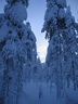 Äkäslompolo, Schneeschuh-Tour 3, Lichtspiele im Wald