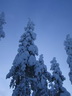 Äkäslompolo, Schneeschuh-Tour 3, Lichtspiele im Wald