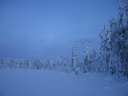 Äkäslompolo, Schneeschuh-Tour 3, Eiskalter Wald
