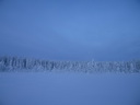 Äkäslompolo, Schneeschuh-Tour 3, Eiskalter Wald
