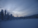 Äkäslompolo, Schneeschuh-Tour 3, Eiskalter Wald