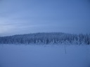 Äkäslompolo, Schneeschuh-Tour 3, Eiskalter Wald