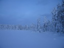 Äkäslompolo, Schneeschuh-Tour 3, Eiskalter Wald