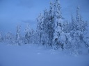 Äkäslompolo, Schneeschuh-Tour 3, Eiskalter Wald
