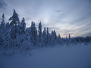Äkäslompolo, Schneeschuh-Tour 3, Eiskalter Wald