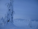 Äkäslompolo, Schneeschuh-Tour 3, Eiskalter Kuer