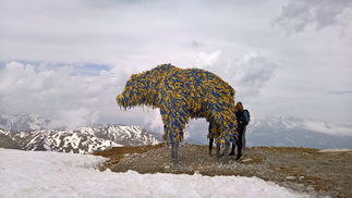 Arosa