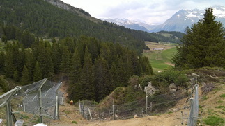 Arosa