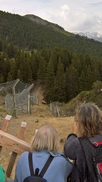 Arosa