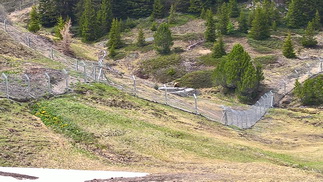 Arosa