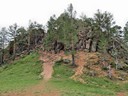 Auf dem Weg zum Dorf der Altgläubigen, Tarbagatay, Sibirian, Russland