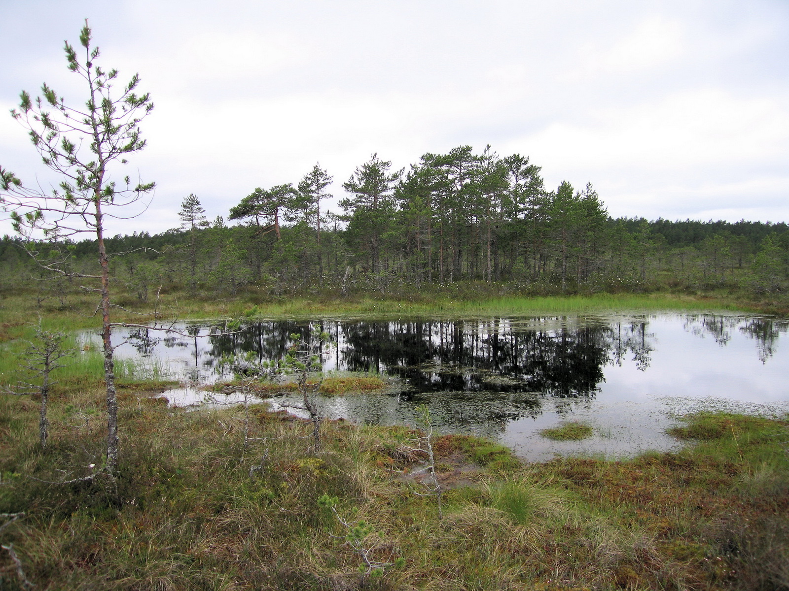Baltikum (Estland/Lettland/Litauen)