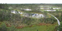 Hochmoor von Viru-Raba (Lahemaa-Nationalpark, Estland)
