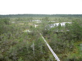 Hochmoor von Viru-Raba (Lahemaa-Nationalpark, Estland)