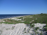 Kurische Nehrung, Litauen