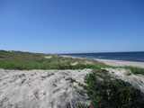 Kurische Nehrung, Litauen