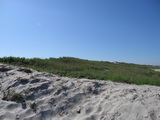 Kurische Nehrung, Litauen