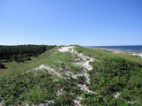 Kurische Nehrung, Litauen
