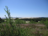 Sanddüne bei Nida (Kurische Nehrung, Litauen)