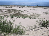 Sanddüne bei Nida (Kurische Nehrung, Litauen)
