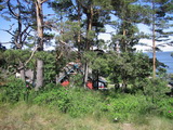 Nida (Kurische Nehrung, Litauen)