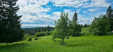 Kandel, Glottertal (D)
