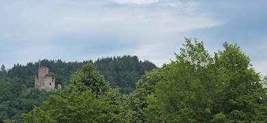Waldkirch (D)
