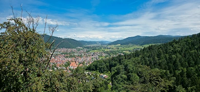 Baumkronenweg Waldkirch (D)