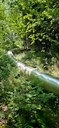 Europas längste Röhrenrutsche, Baumkronenweg Waldkirch (D)