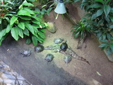 Zoo Aquarium Berlin