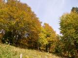 Federispitz (SG/CH, 1865m, Koordinate 725/225)