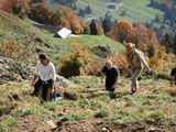Federispitz (SG/CH, 1865m, Koordinate 725/225)