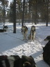 Äkäskero Sleddogcenter
