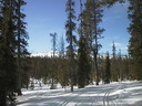 Äkäskero Wilderness Lodge