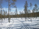 Äkäskero Wilderness Lodge