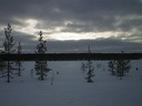 Lapplands Natur