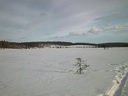 Lapplands Natur