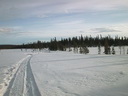 Lapplands Natur