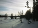 Lapplands Natur