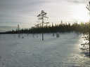 Lapplands Natur