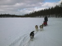 Äkäskero Schlittenhunde-Tour