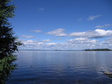 Blick auf den Pielinensee in Richtung Halbinsel Kaiskunniemi